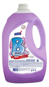 SEFE-removebg-preview